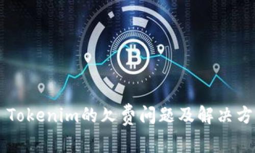 ### Tokenim的欠费问题及解决方案剖析